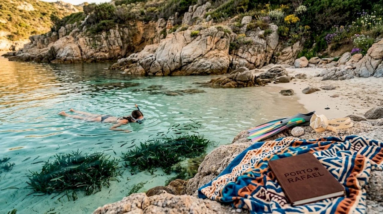 How to discover Sardinian marine life: a nature guide