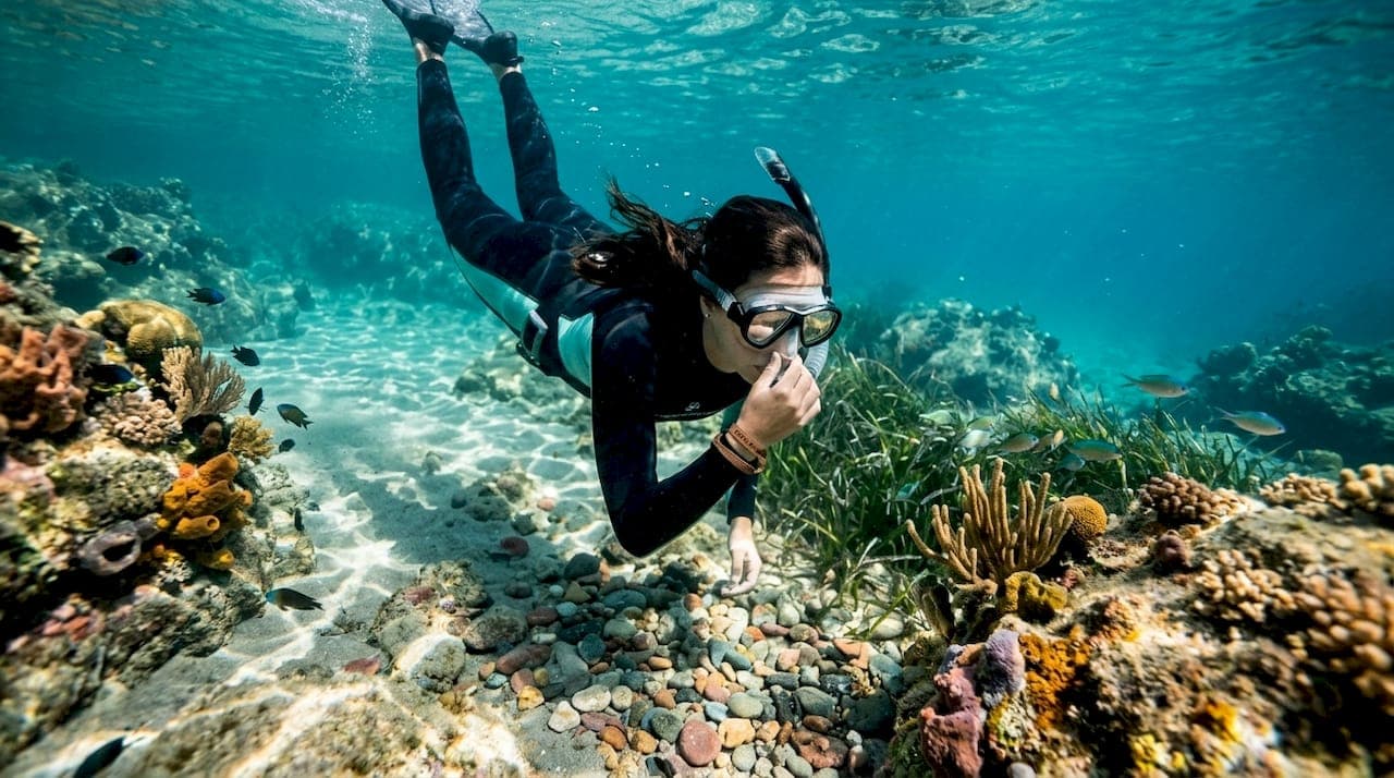 Free diving in Sardinia: your complete guide